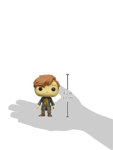 Funko 32751 Pop Movies: Fantastic Beasts 2- Newt (Styles May Vary), Multicolor