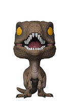 Load image into Gallery viewer, Funko Pop! Movies: Jurassic Park - Velociraptor Collectible Figure