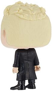 Funko Pop Movies: Fantastic Beasts 2 - Grindewald, Standard Toy, Multicolor