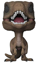 Load image into Gallery viewer, Funko Pop! Movies: Jurassic Park - Velociraptor Collectible Figure